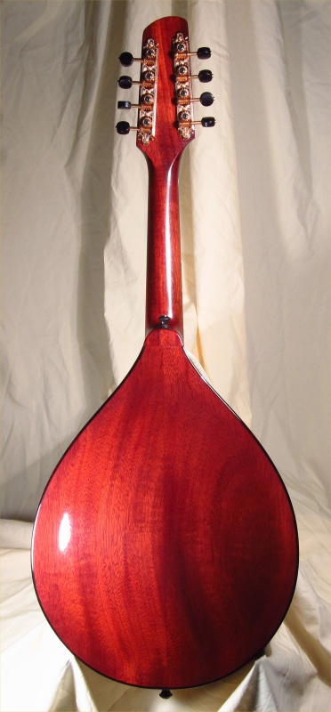 laughlin mandolin